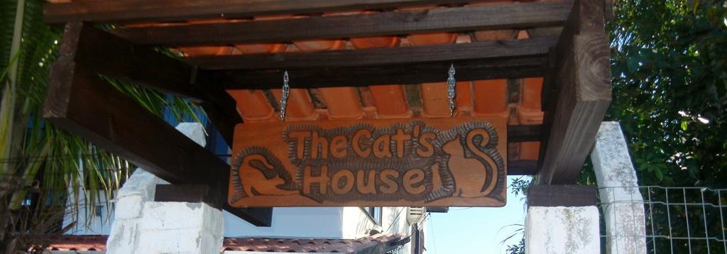 ホテル The Cats' House フロリアノポリス エクステリア 写真